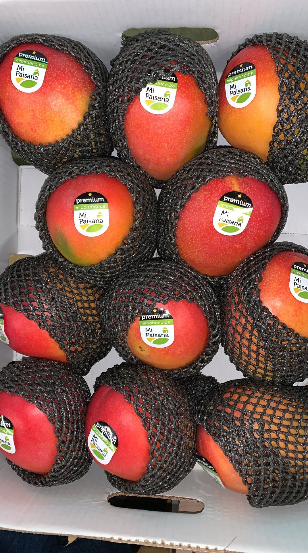 Mango - Kent (Tree Ripened)