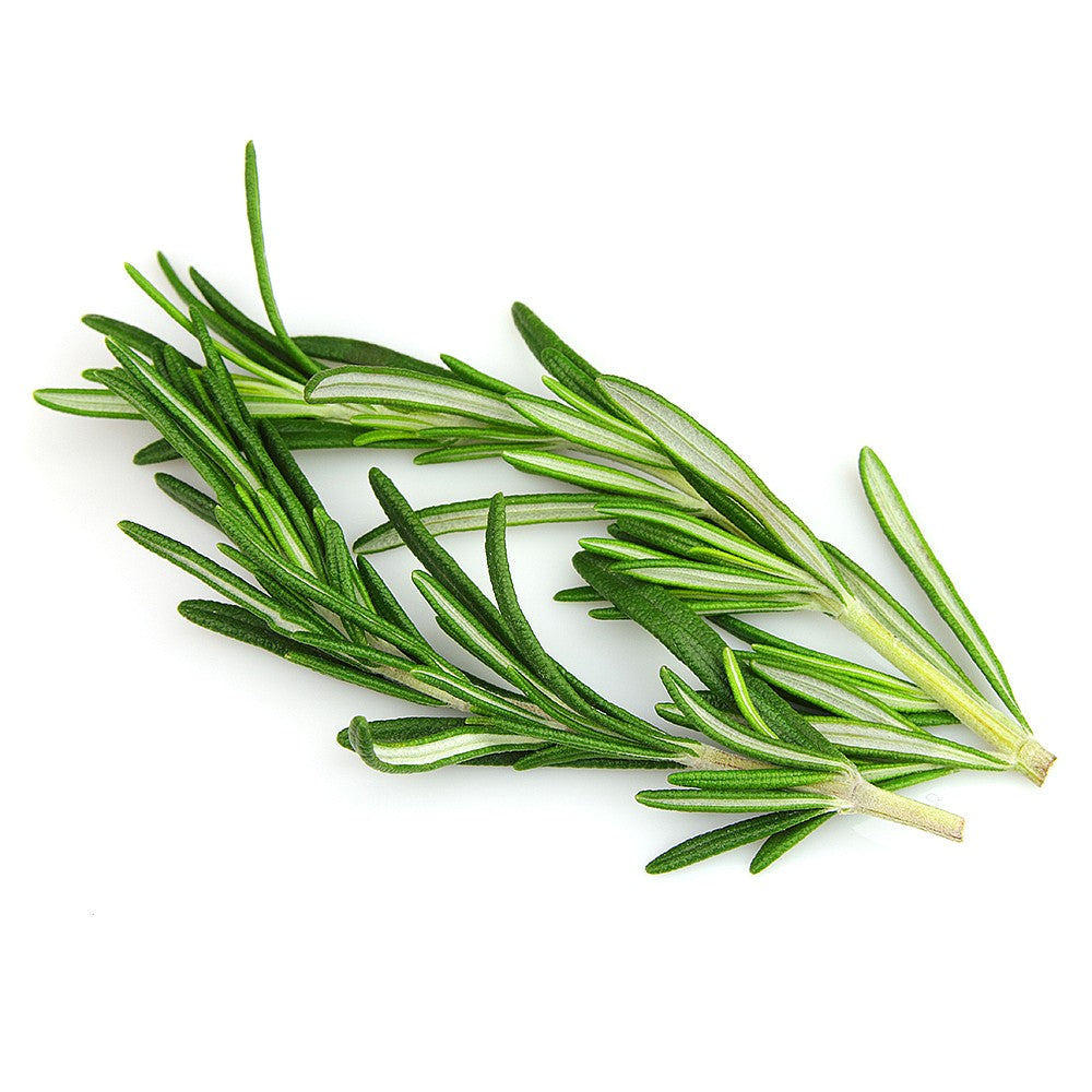 Rosemary (50g Pack)