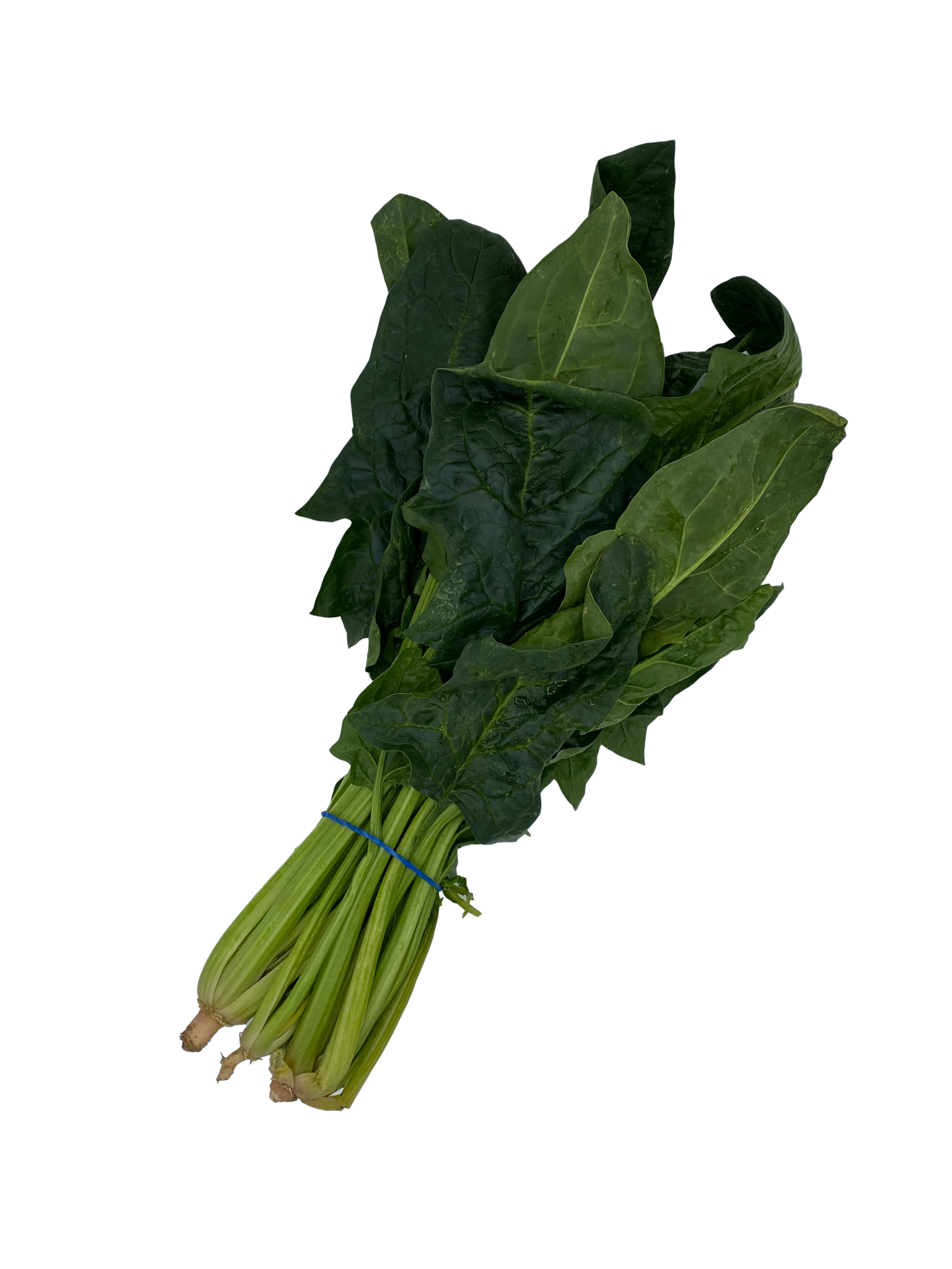 Spinach (1 Bunch)
