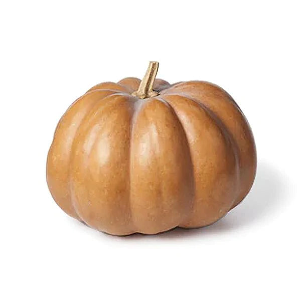 French Pumpkin (1)