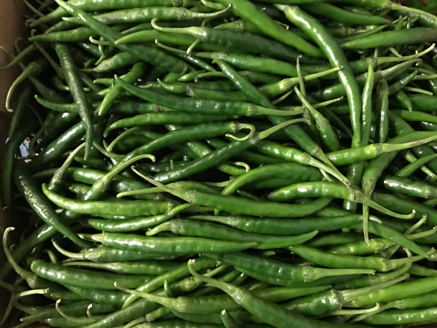Green Chilli - Indian Thin (200g)