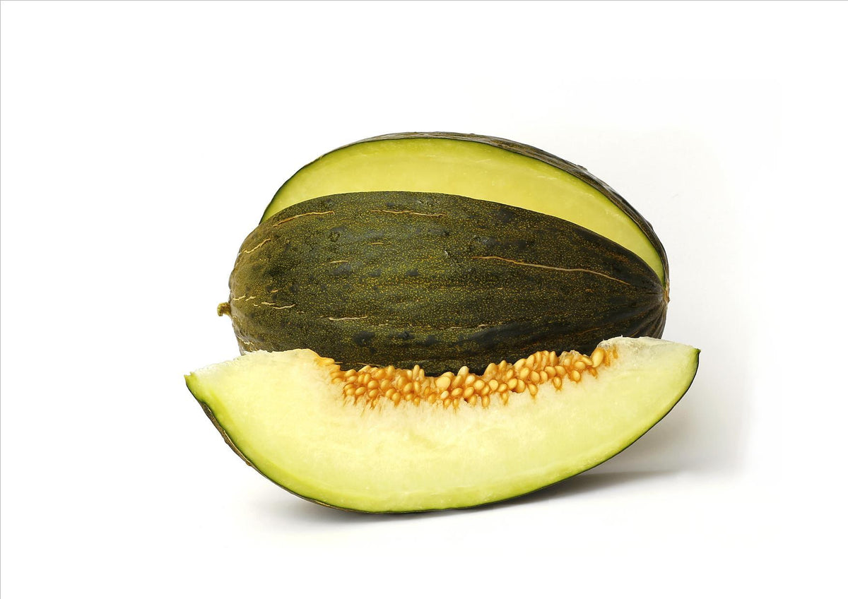 Piel De Sapo Melon (Large)