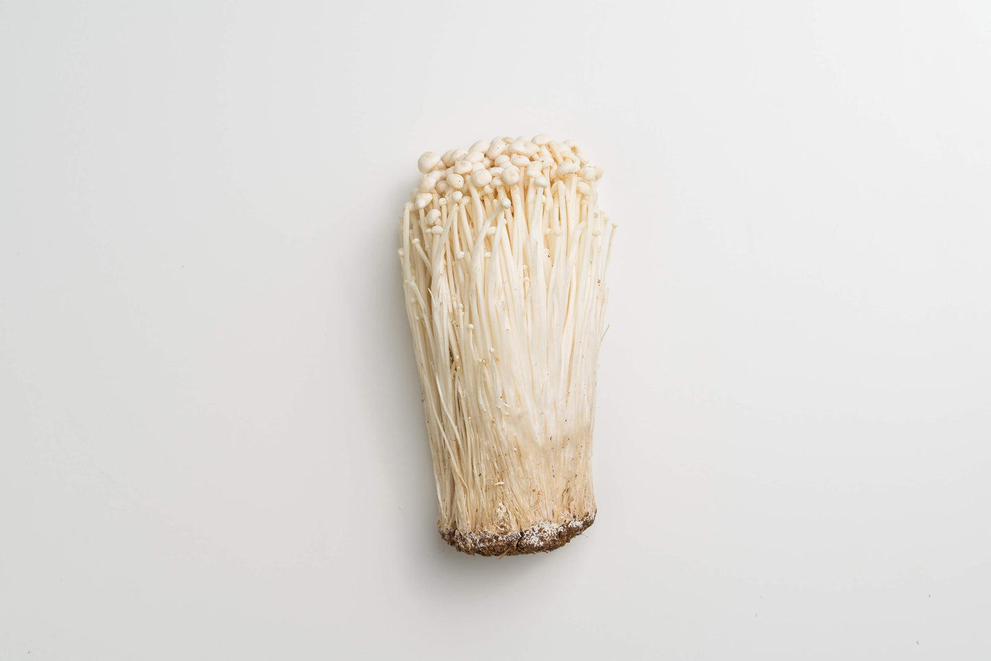 Mushroom - Enoki (200g Pack)