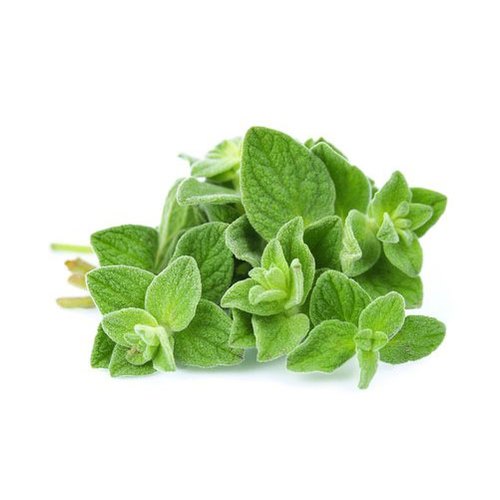 Oregano (50g Pack)