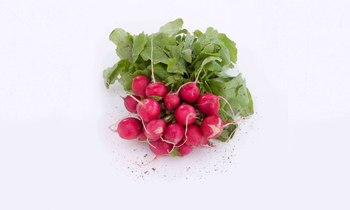 Red Baby Radish Pack 200g