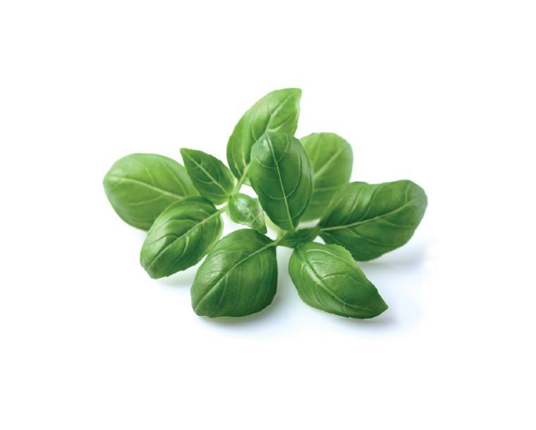 Basil (50g Pack)