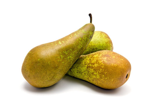 Conference Pear (4)