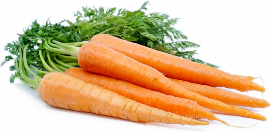 Carrots - Bunched with Leaf