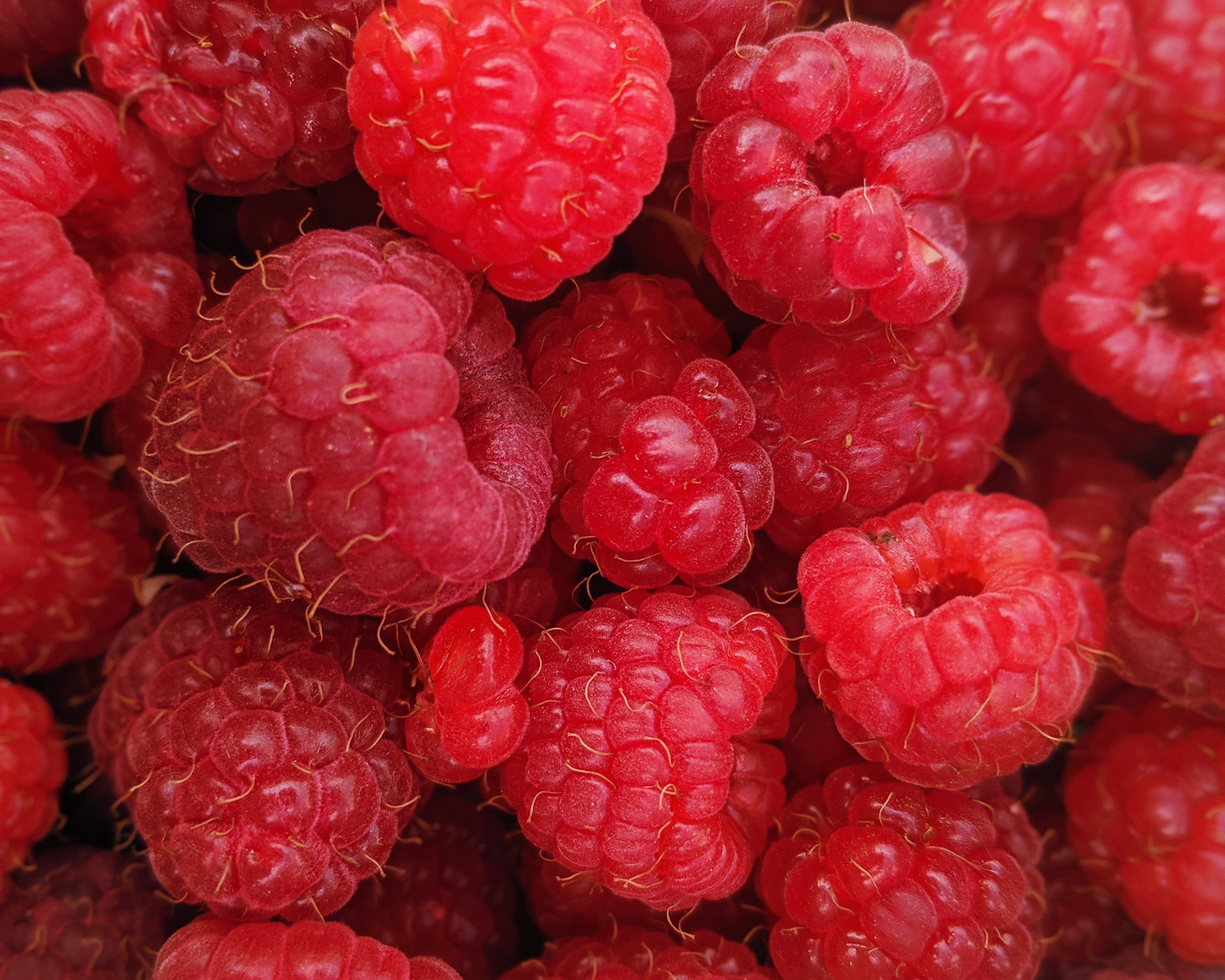 Exotic Raspberry Raspberry (125g) – Garden Fresh Exotics