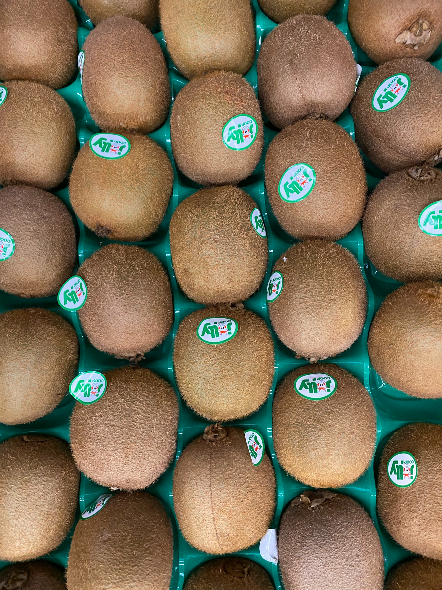 Kiwi (4)