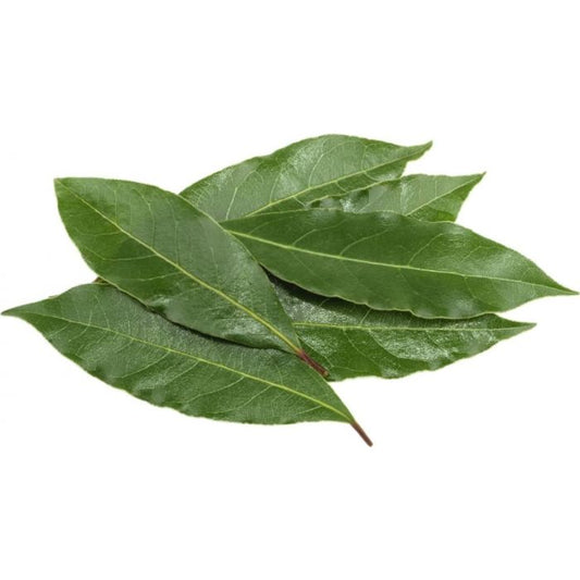 Bay Leaf Fresh (100g Pack)