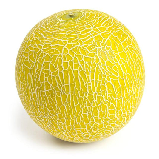 Galia Melon