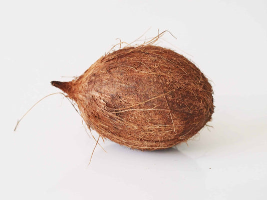 Coconut Husked (1)