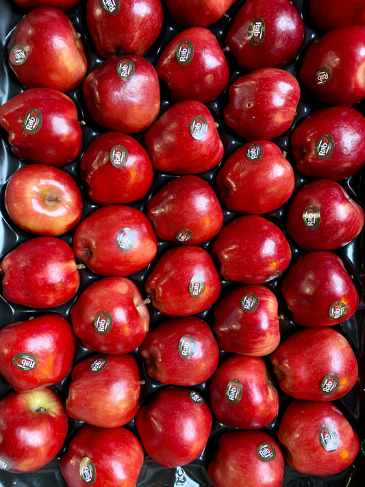 Apple - Red Delicious (4)