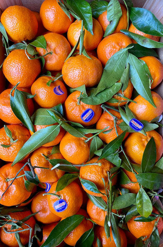 Leafy Clementine (6)