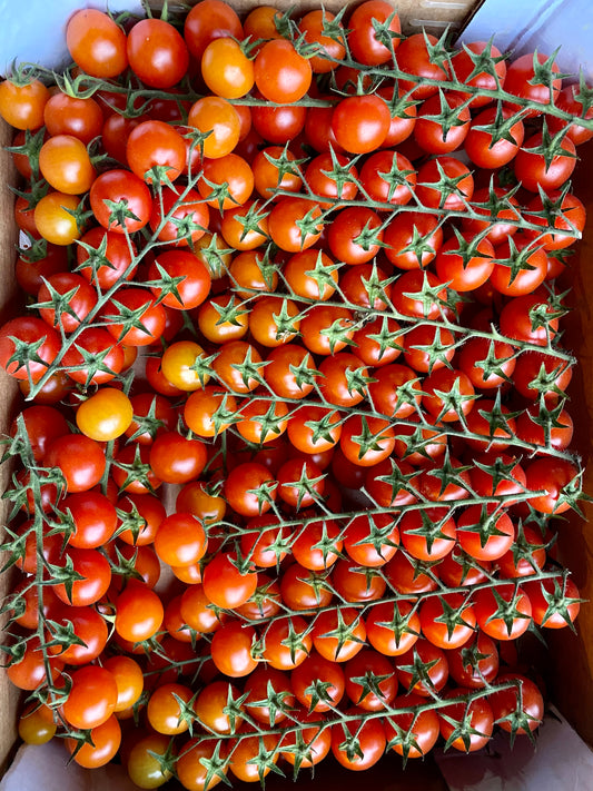 Cherry Vine Tomato (300g)