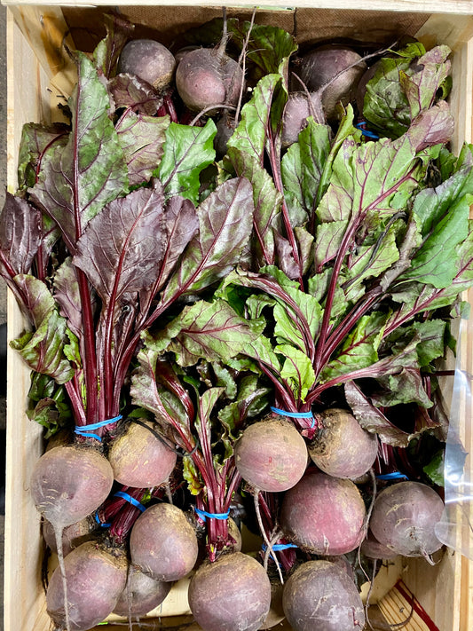 Bunched Beetroot (1)