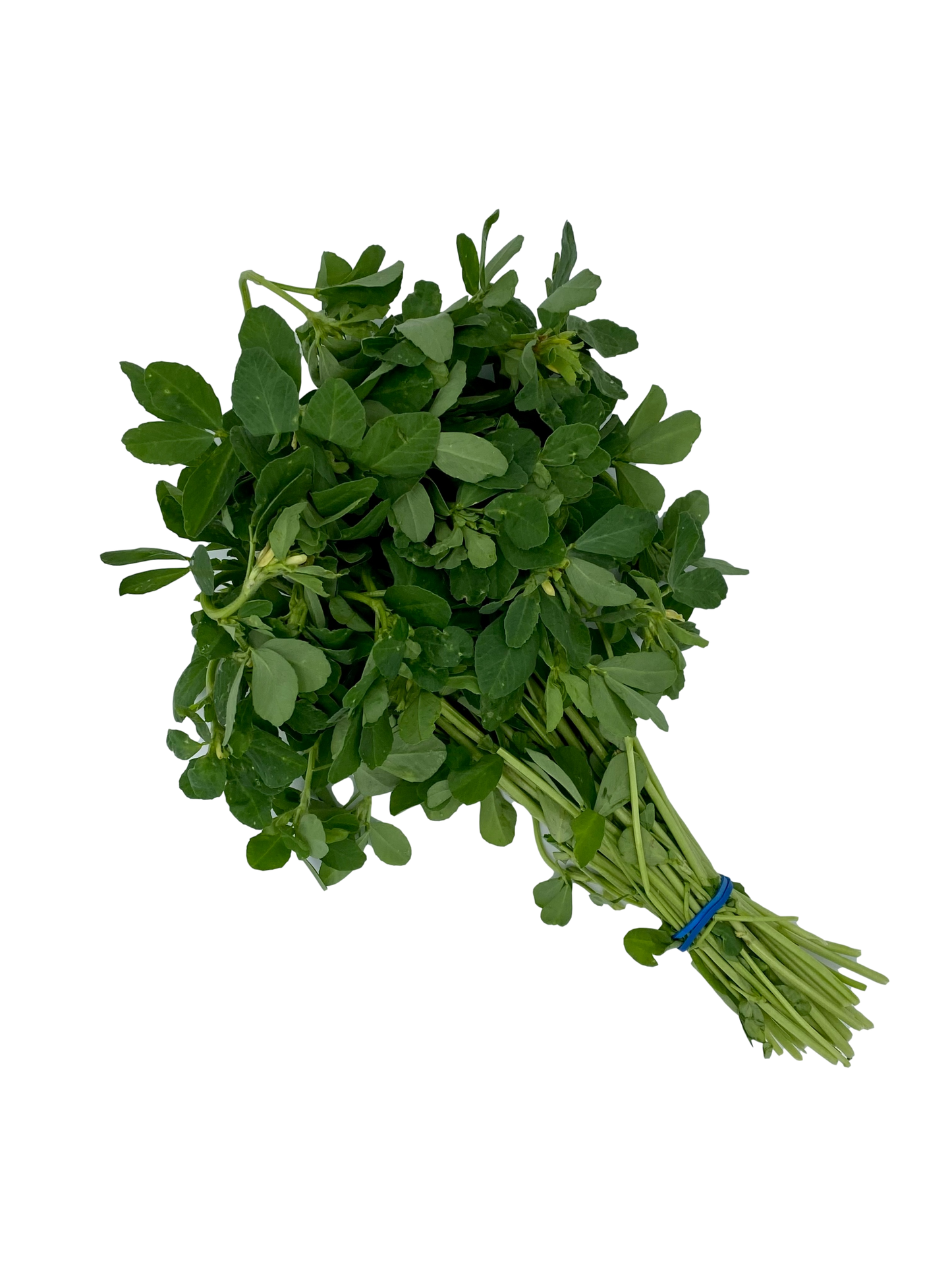 Fenugreek Leaves (Methi) 1 Bunch