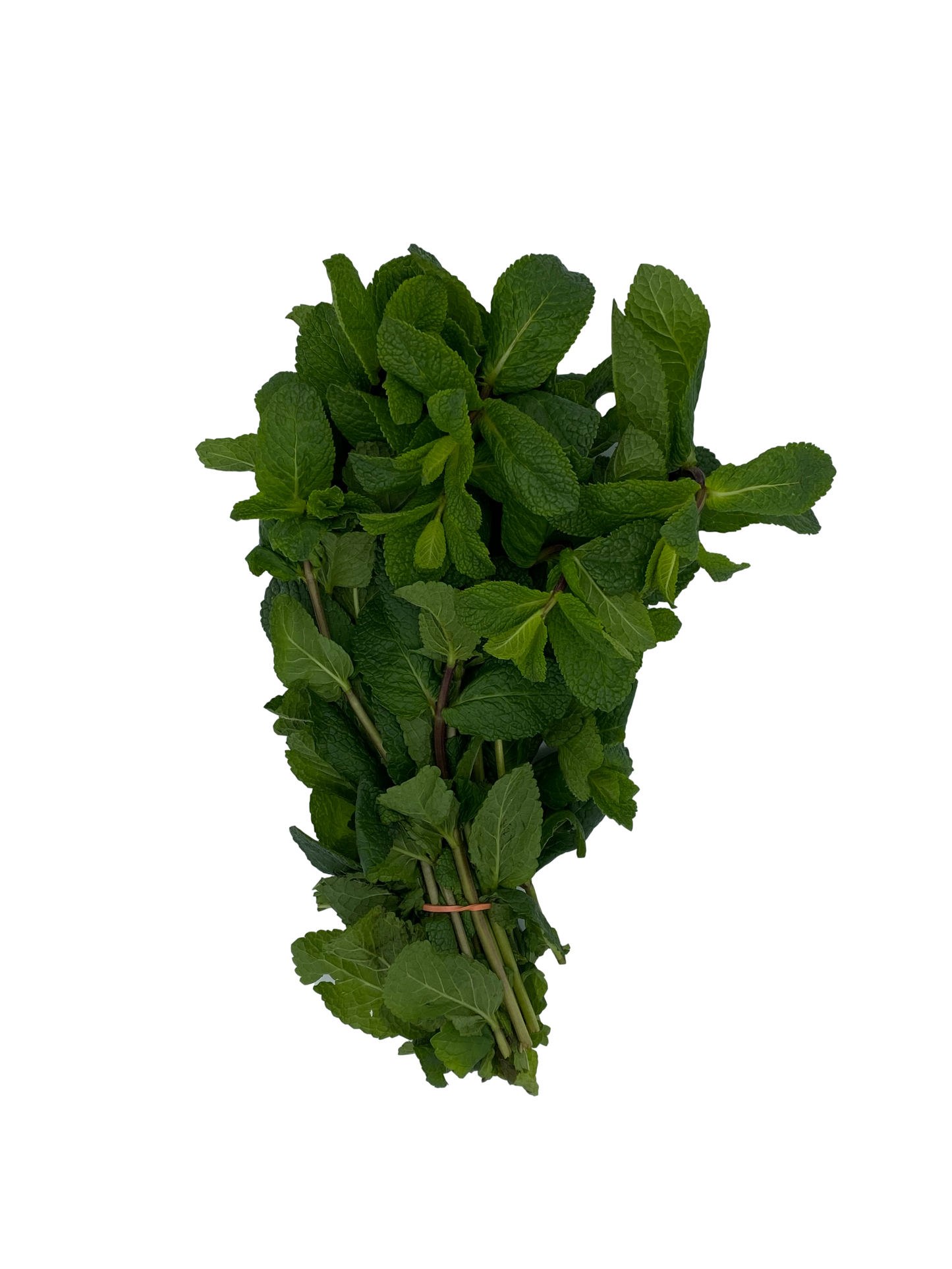 Mint (1 Bunch)