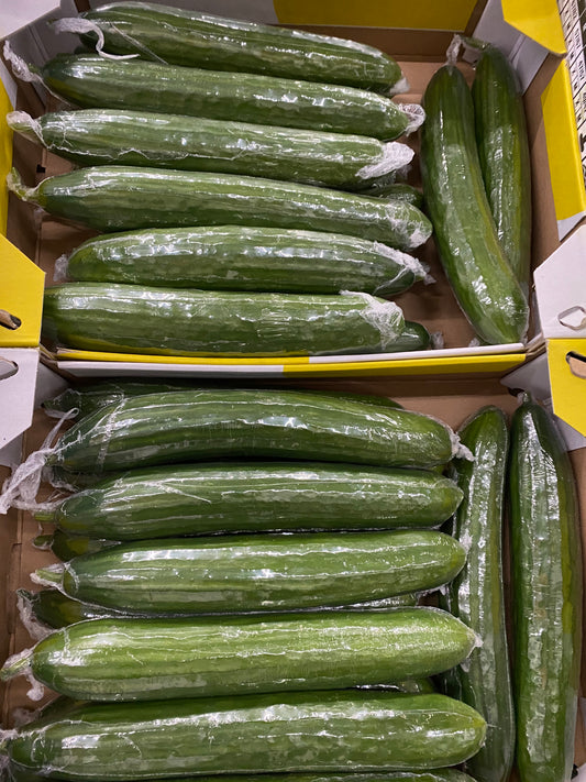 Cucumber (1)