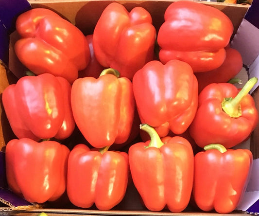 Red Bell Pepper (1)