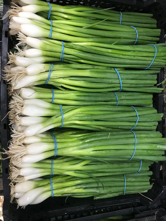 Spring Onion (1 Bunch)
