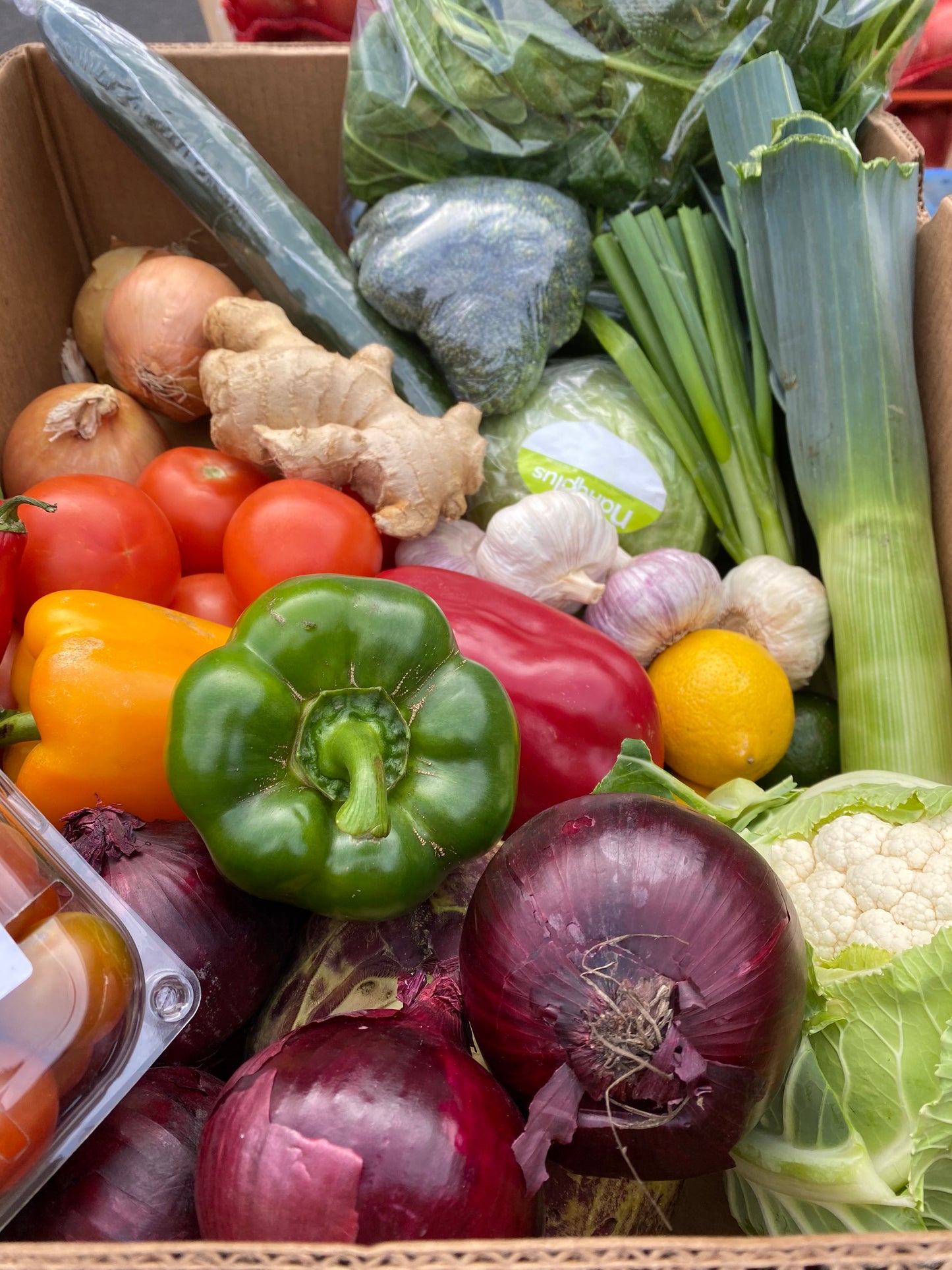 Large Veg/Salad Box
