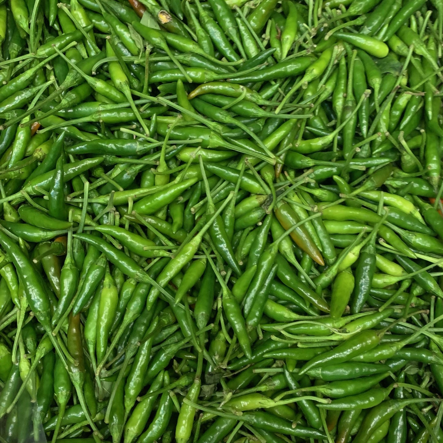Birds Eye Chilli (200g)