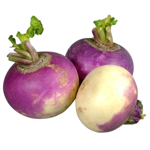 Milan Turnip (500g)