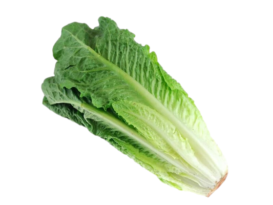 Lettuce Romaine (1)