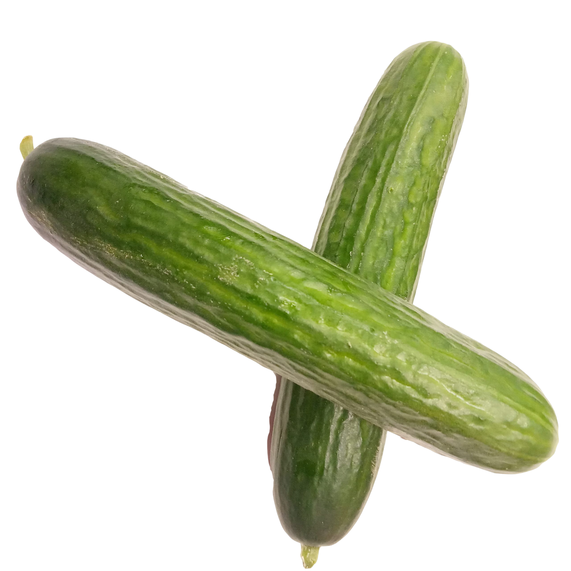 Mini Cucumbers