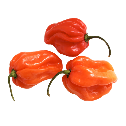 Scotch Bonnet Chilli (200g)