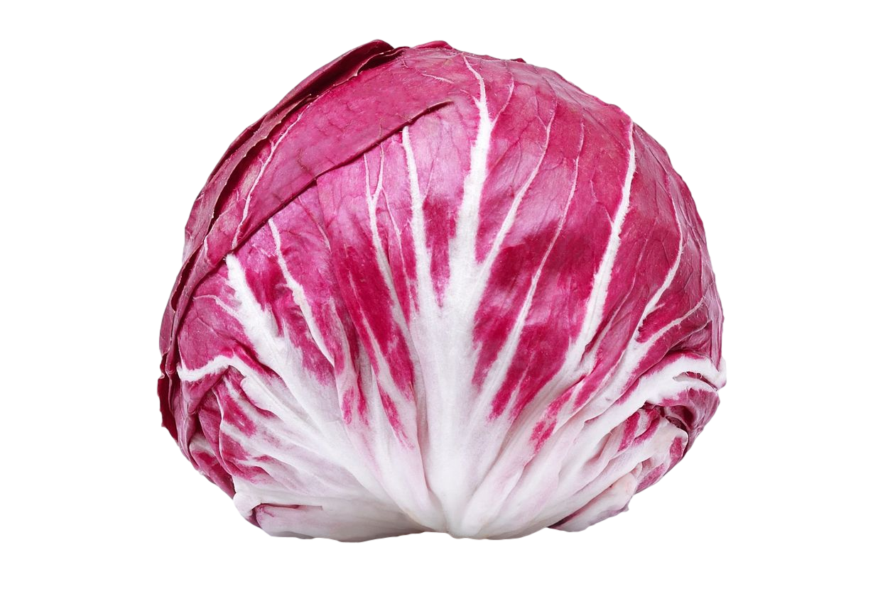 Radicchio (1)