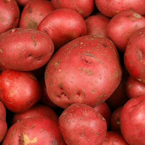 Red Rooster Potato (1kg)