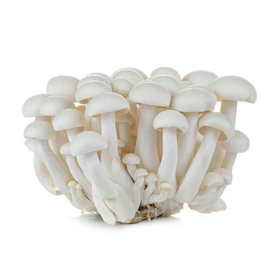 Mushroom - White Shimeji (200g Pack)