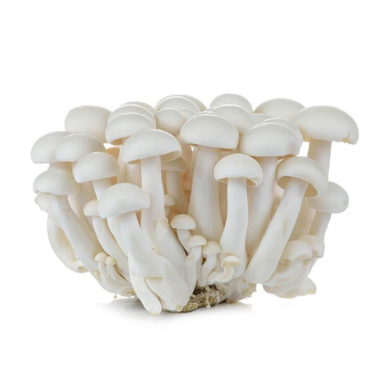 Mushroom - White Shimeji (150g Pack)