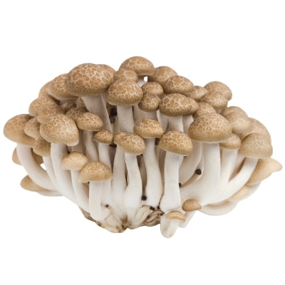 Mushroom - Brown Shimeji (150g Pack)