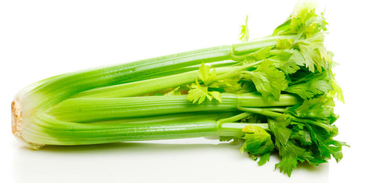 Celery (1 Stick)
