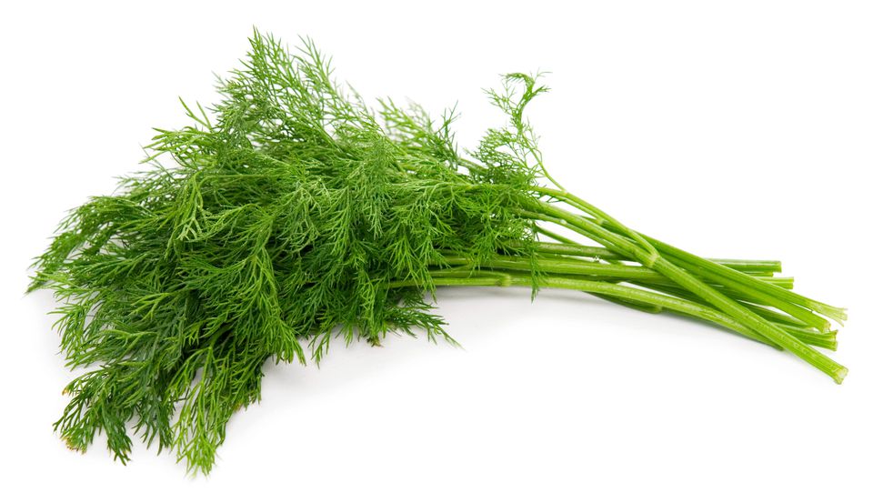 Dill (50g)