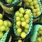 Seedless Grapes - White (500g pack)