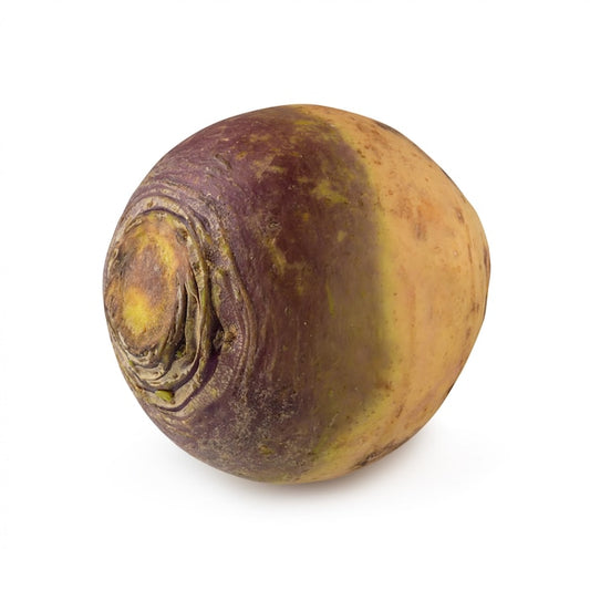 Turnip - Swede (1)
