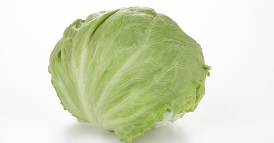 Lettuce - Iceberg (1)