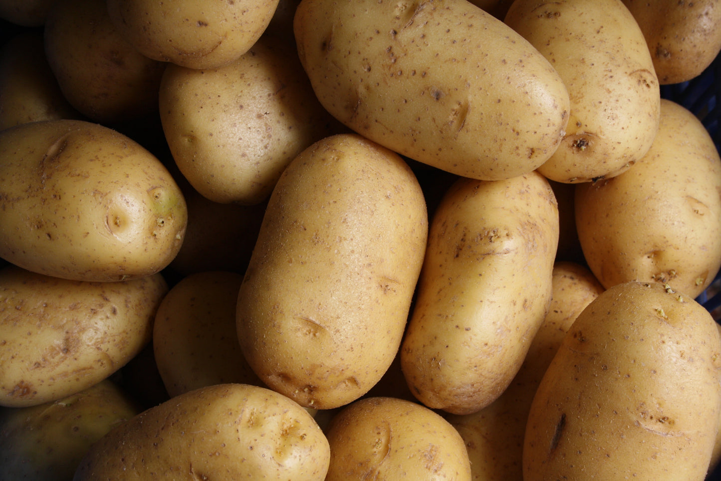 White Baking Potato (1kg)