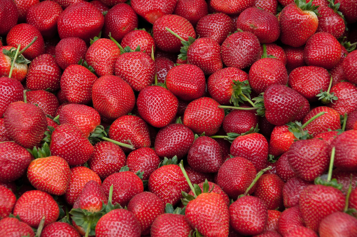 Strawberry (250g Pack) - Spanish