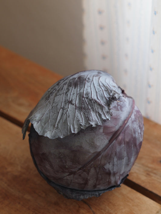 Red Cabbage (1)